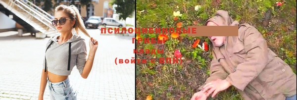 СК Волоколамск