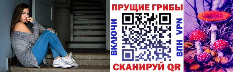 Псилоцибиновые грибы Psilocybine cubensis  Краснознаменск 